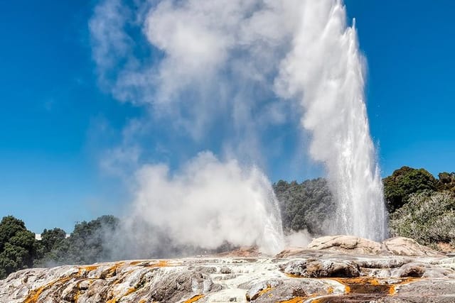 Rotorua Highlights Small Group Tour Including Te Puia from Auckland - Photo 1 of 13